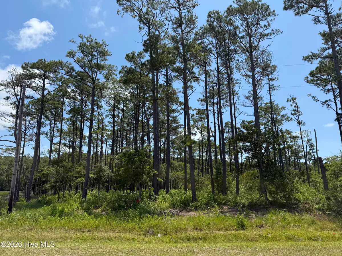933 Crow Hill Road, Beaufort, NC 28516 - #1