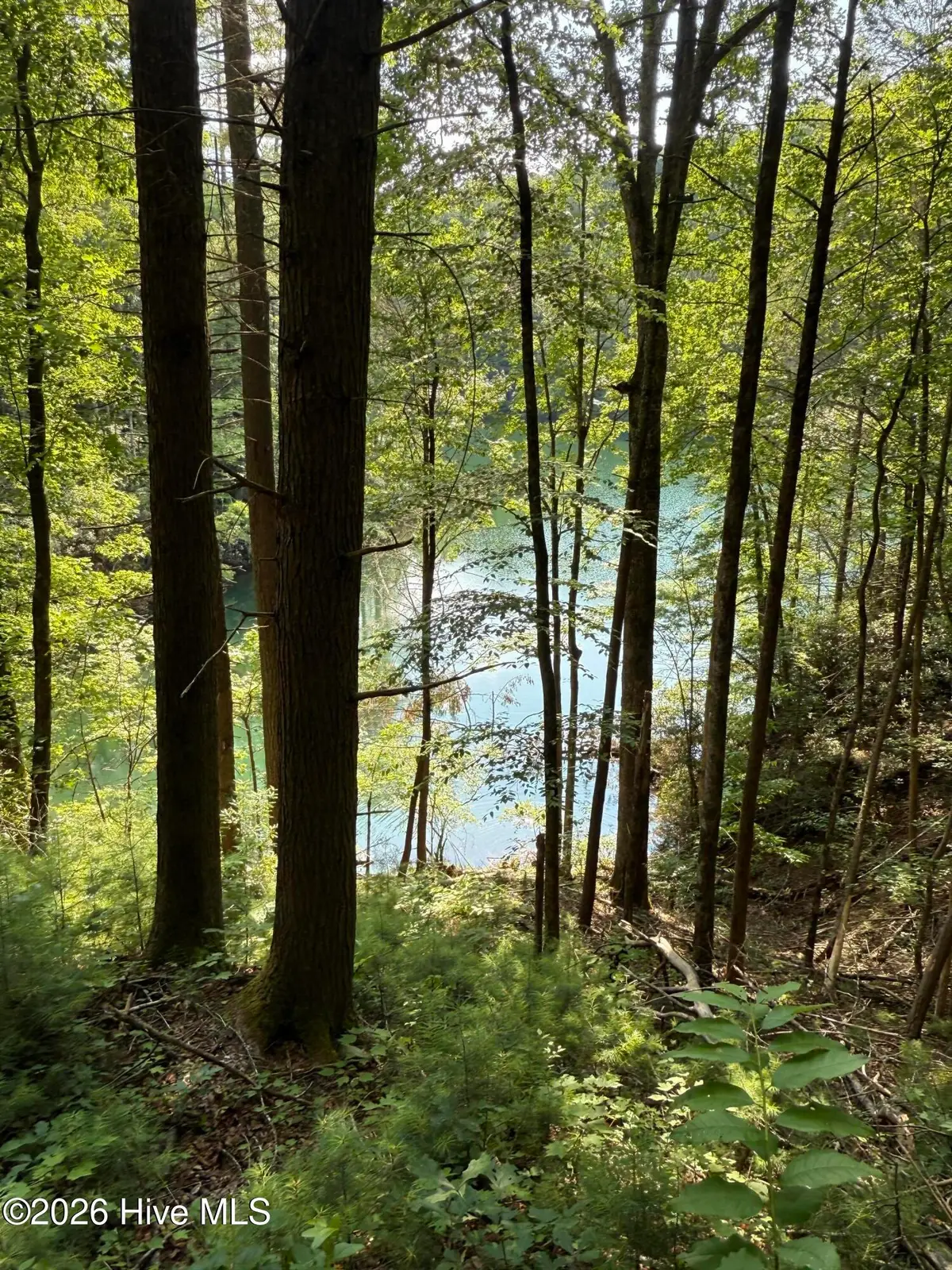 00 Berry Patch Road, Murphy, NC 28906 - #1