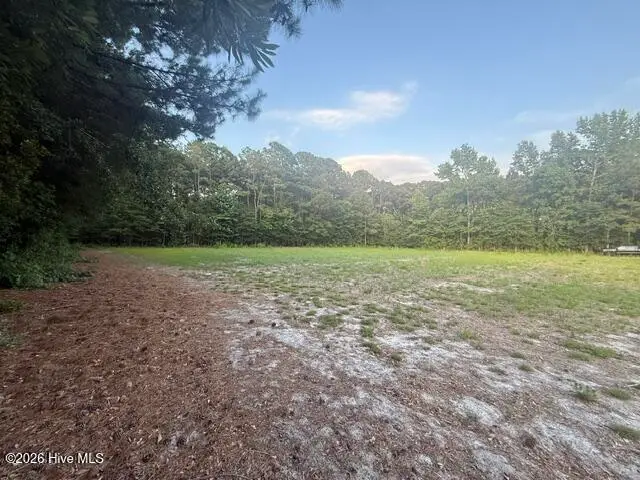 1005 Regal Road, Goldsboro, NC 27534 - #1