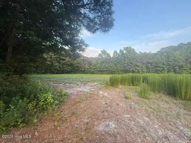 1005 Regal Road, Goldsboro, NC 27534 - #3