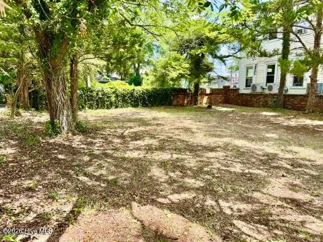 715 Princess Street, Wilmington, NC 28401 - #3