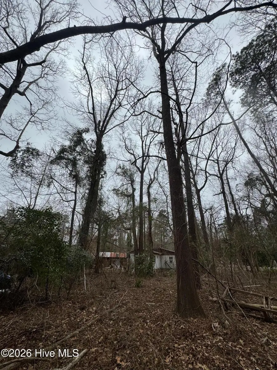 144 Hemlock Street, Hertford, NC 27944 - #3