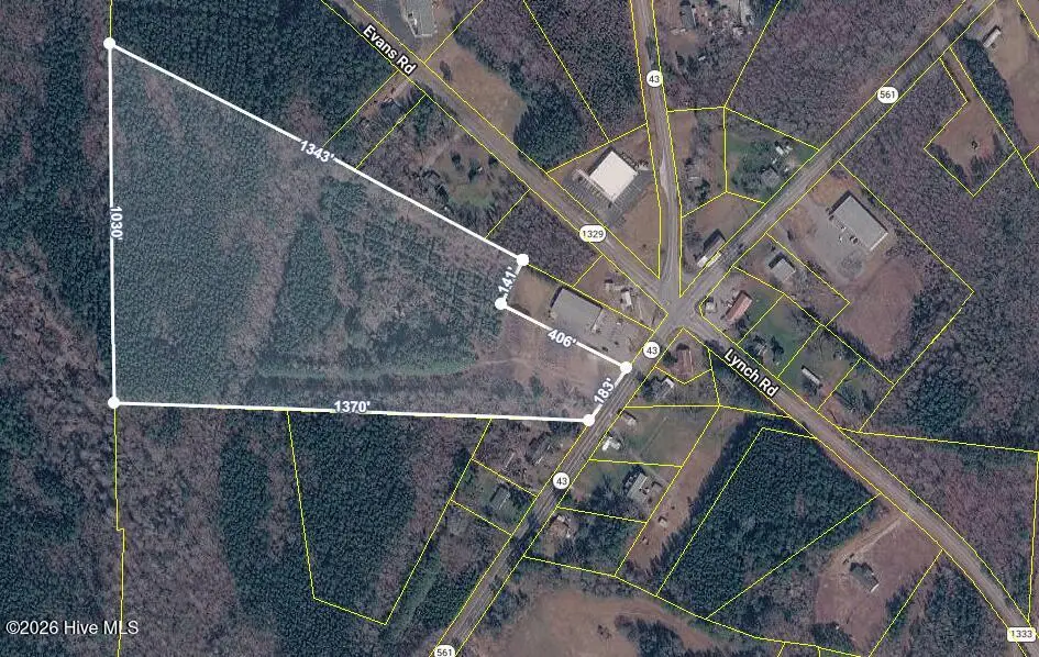 000 N Highway 561, Hollister, NC 27844 - #1