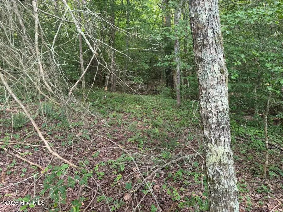 Tbd Rough Gravel Road, Murphy, NC 28906 - #3