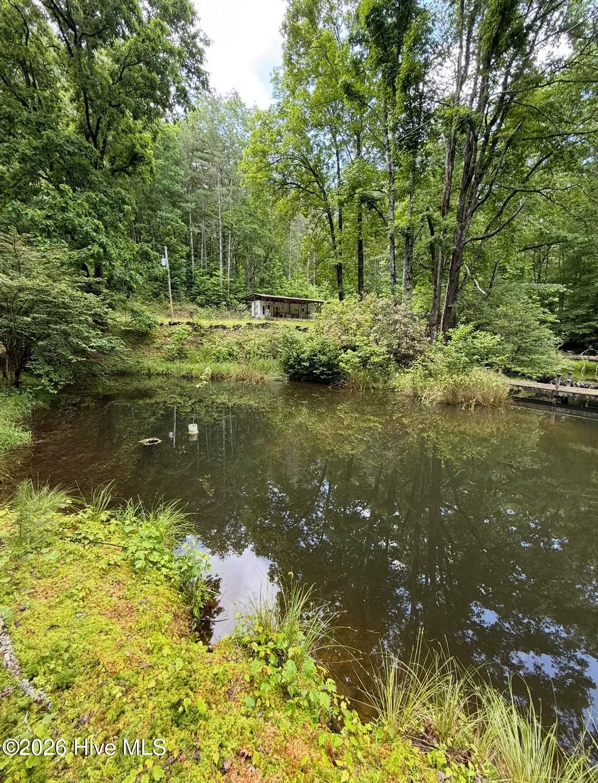 1234 Dockery Creek Road, Murphy, NC 28906 - #1
