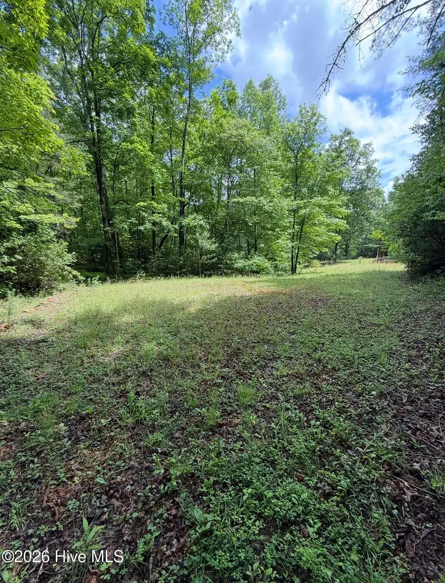 1234 Dockery Creek Road, Murphy, NC 28906 - #2