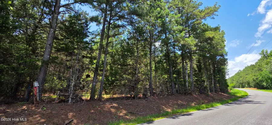 0 Chestnut Ridge Road, McCormick, SC 29835 - #2