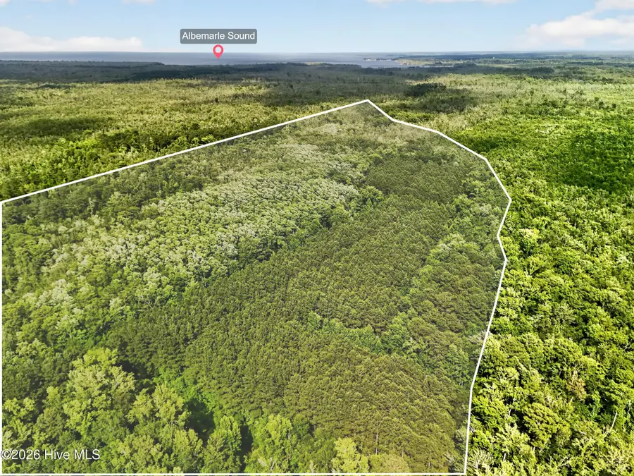 Tbd Pea Ridge Road, Roper, NC 27970 - #2