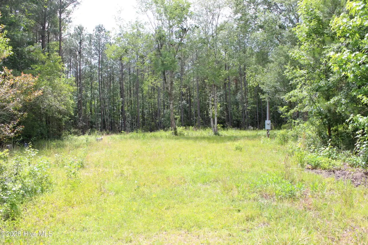 528 Chair Factory Road, Nakina, NC 28455 - #1