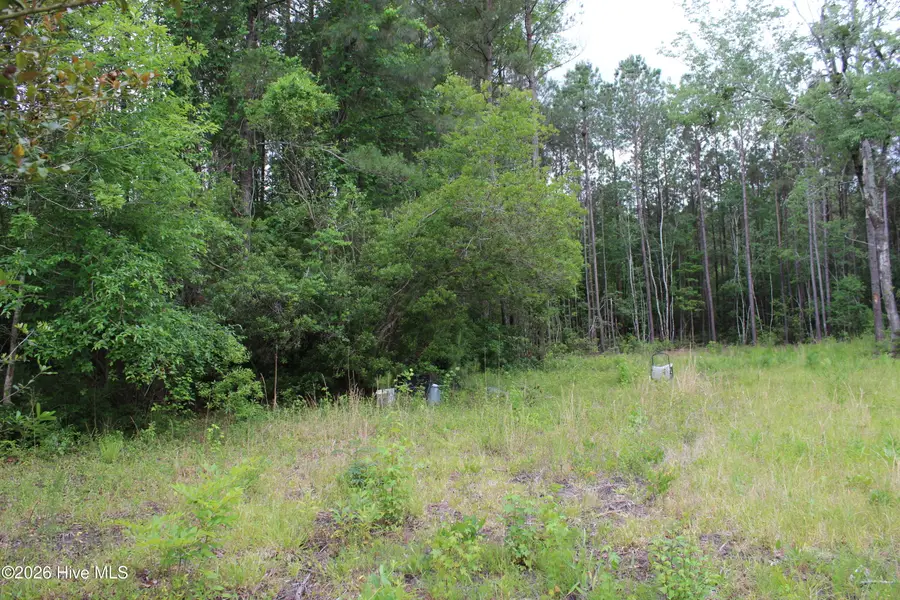 528 Chair Factory Road, Nakina, NC 28455 - #3