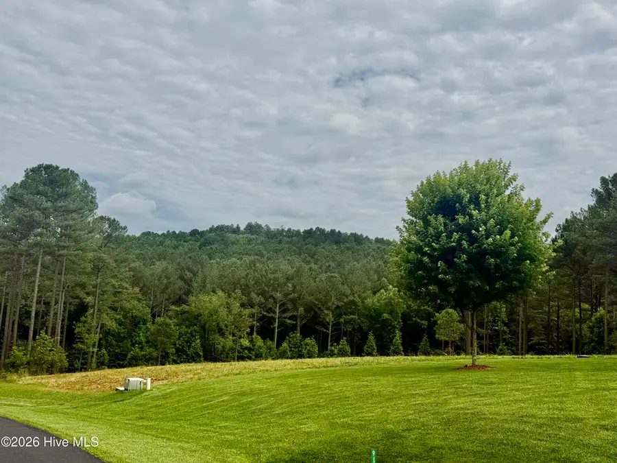 115 Stables Loop, Blairsville, GA 30512 - #2