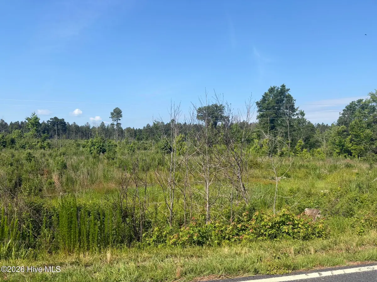 Tbd Everett Chappell Road, Ellerbe, NC 28338 - #1