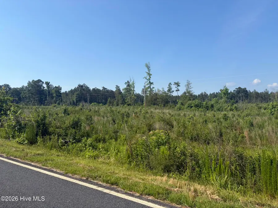 Tbd Everett Chappell Road, Ellerbe, NC 28338 - #2