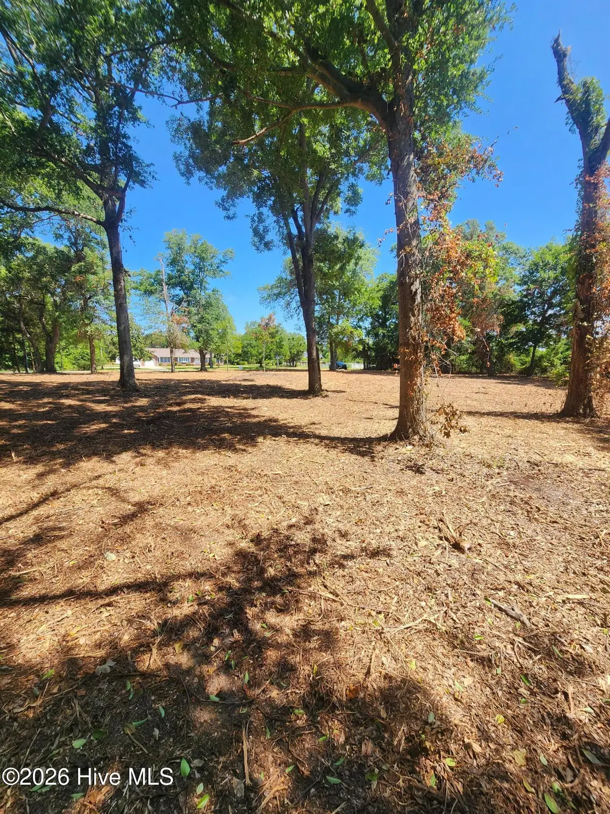 102 Deer Run, Hubert, NC 28539 - #1