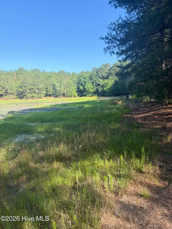 Tbd Jones Spring Church Road, Ellerbe, NC 28338