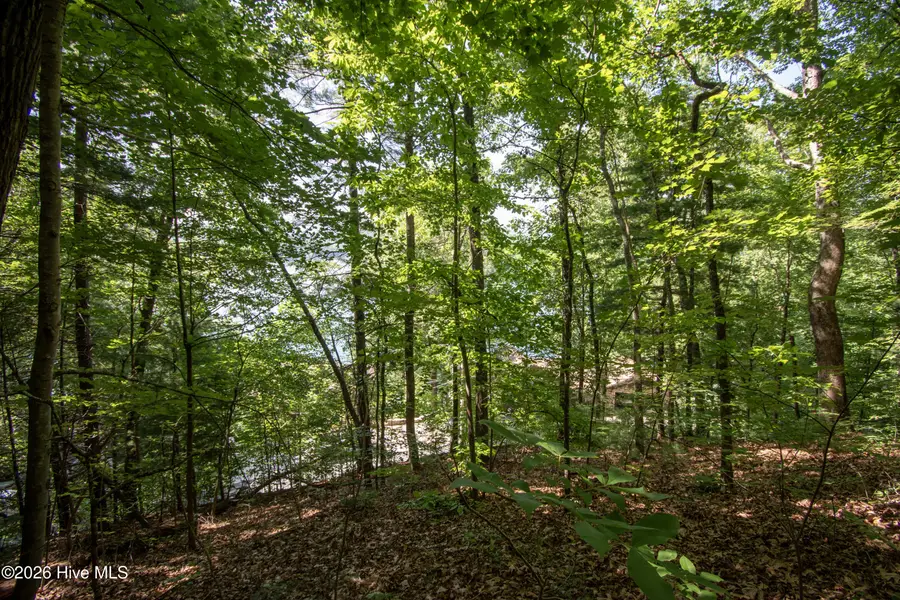 Lt 61 Cherokee Trail, Lake Santeetlah, NC 28771 - #2