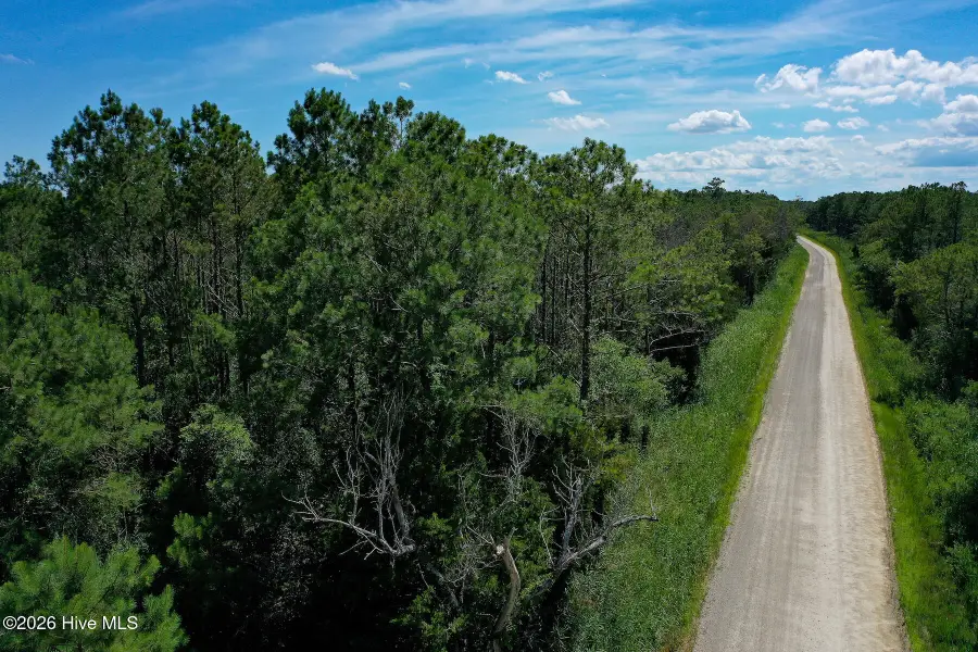 4.57 Acres Meekins Road, Bayboro, NC 28515 - #2