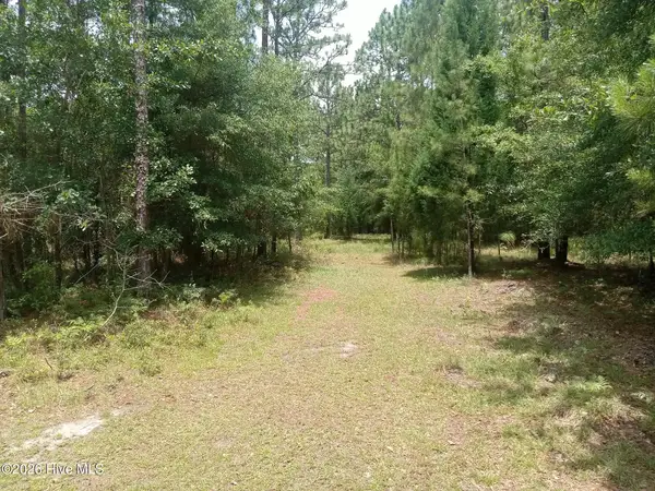Lot 7 Maple Road, Boiling Spring Lakes, NC 28461
