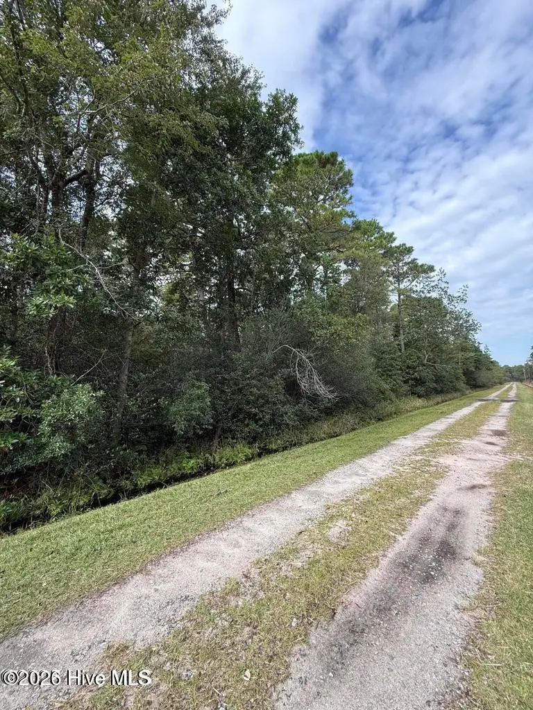 Lot 7 Maple Road, Boiling Spring Lakes, NC 28461 - #3