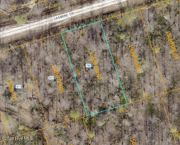 799 Jasmine Road, Boiling Spring Lakes, NC 28461 - #3