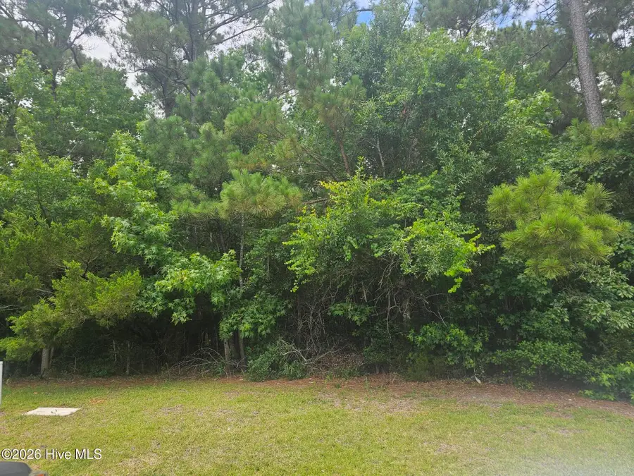 1802 Arctic Tern Court, Morehead City, NC 28557 - #3