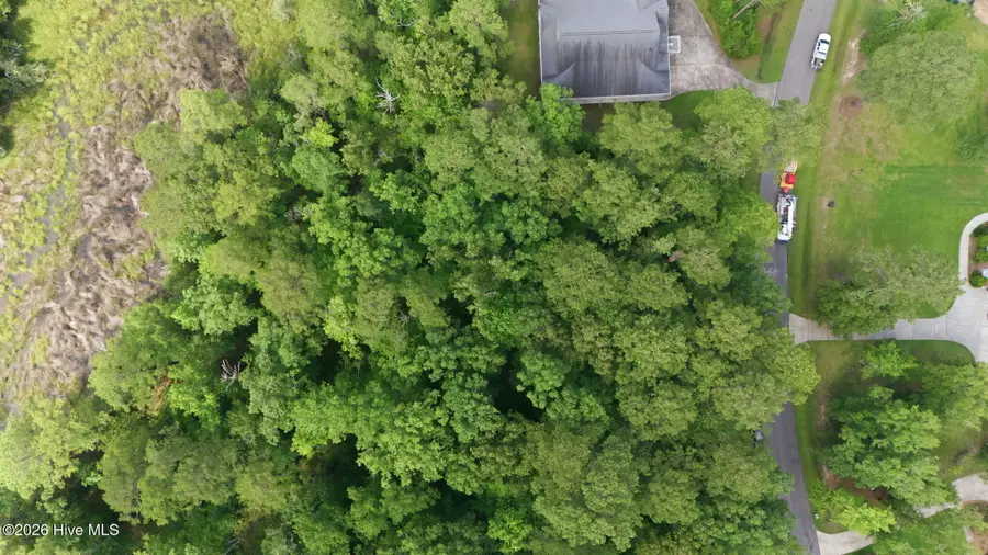 170 Winding Creek Drive, Oriental, NC 28571 - #3