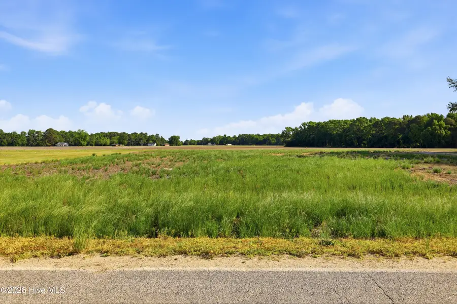 1152 Waller Road, Mount Olive, NC 28365 - #2