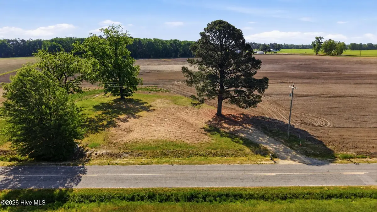 315 Flowers Road, Mount Olive, NC 28365 - #1