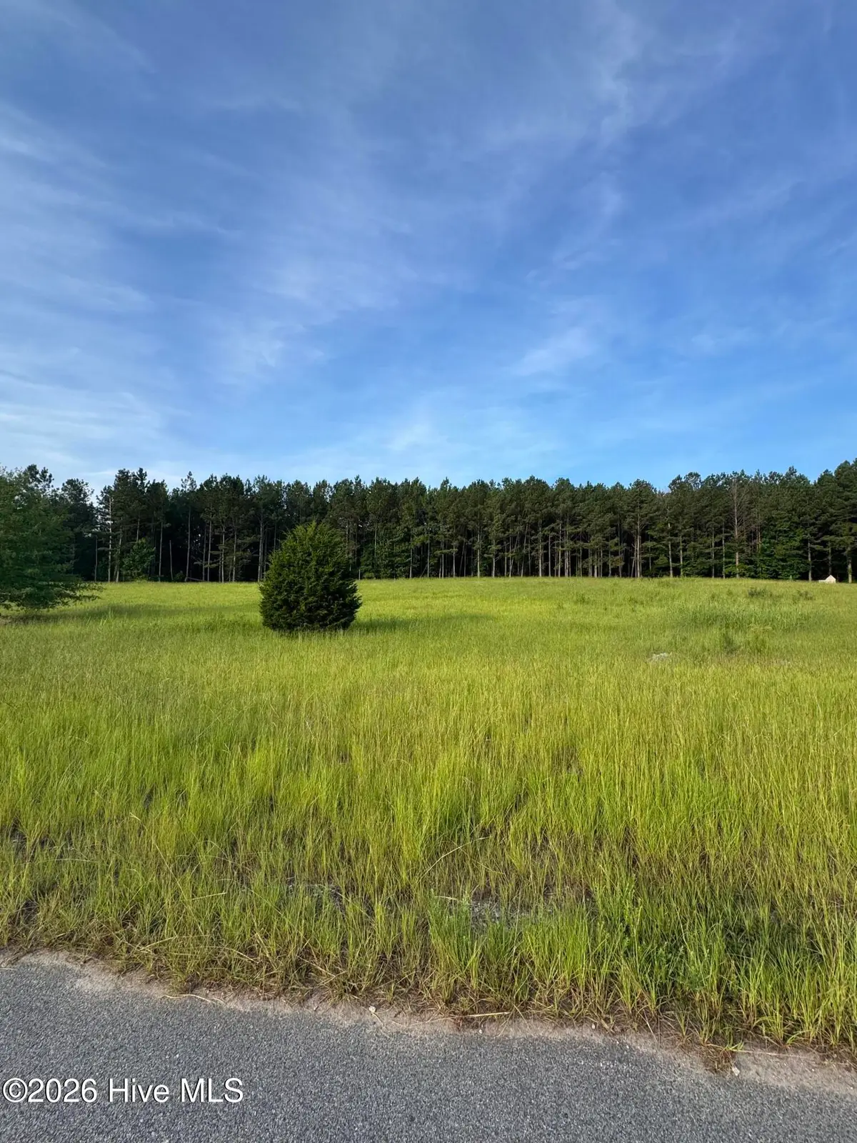 415 Arthur Grimaud Way, Appling, GA 30802 - #1