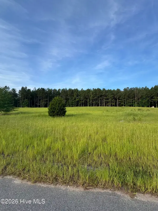 415 Arthur Grimaud Way, Appling, GA 30802