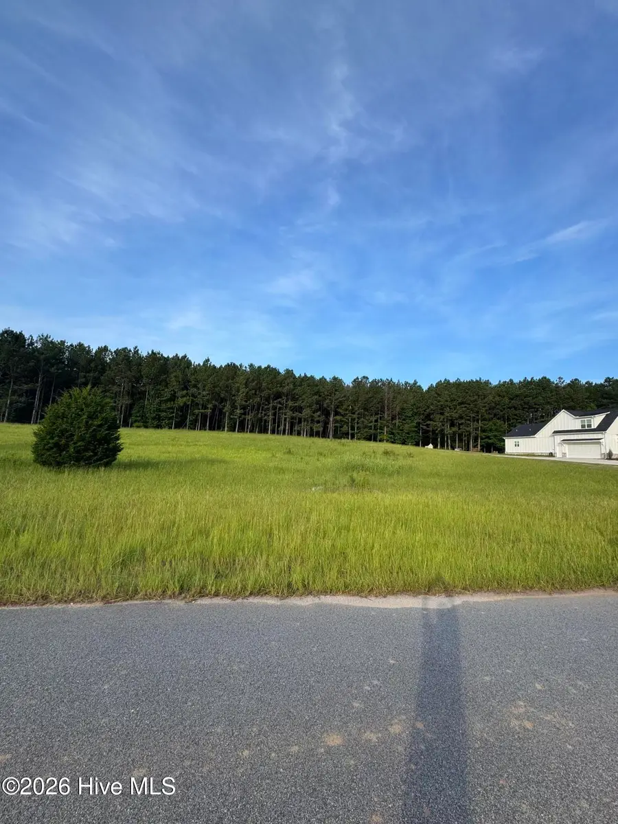 415 Arthur Grimaud Way, Appling, GA 30802 - #3