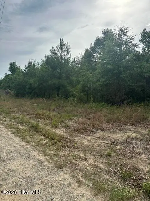 Tbd Old Place Road, Ellerbe, NC 28338