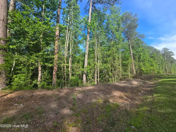 Tbd Cabins Creek Road, Vass, NC 28394