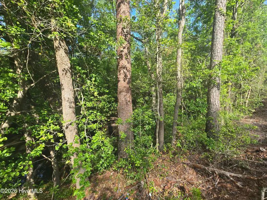 Tbd Cabins Creek Road, Vass, NC 28394 - #2
