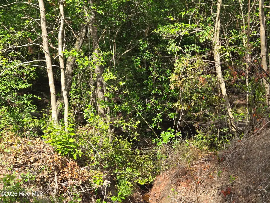 Tbd Cabins Creek Road, Vass, NC 28394 - #3