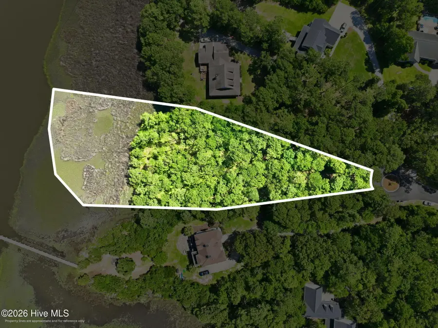 123 White Swan Way, Swansboro, NC 28584 - #3