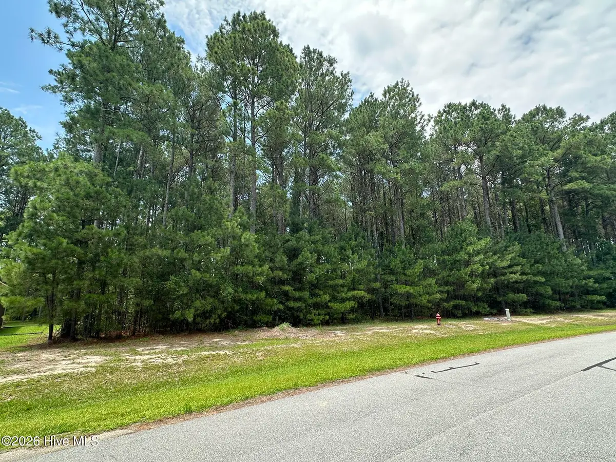 437 Riversound Drive, Edenton, NC 27932 - #1