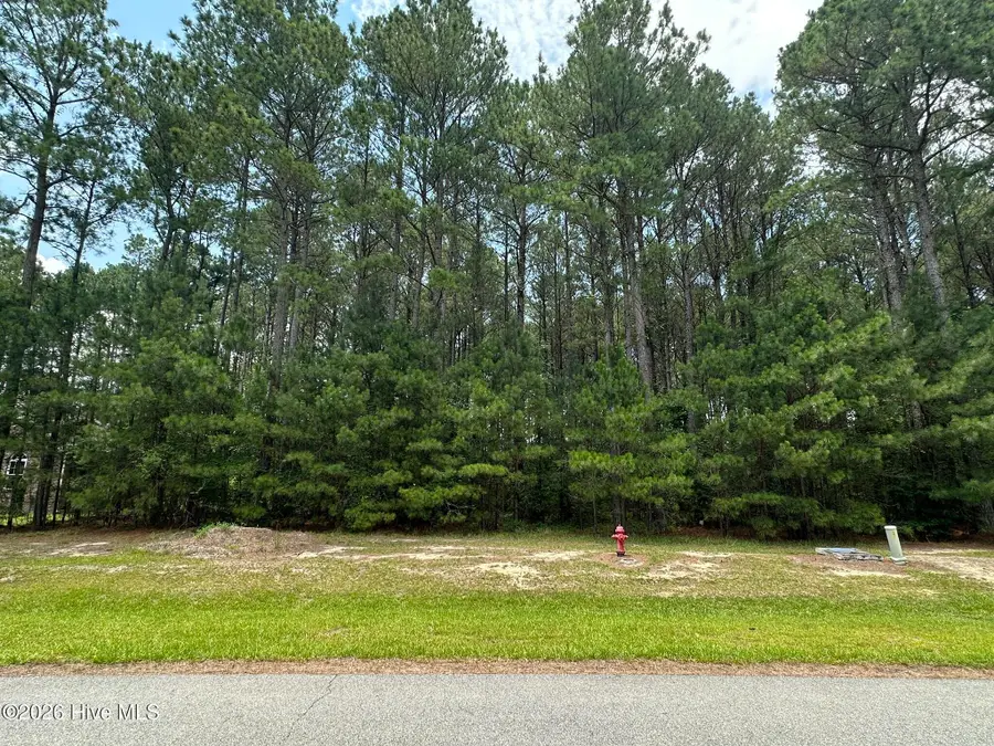 437 Riversound Drive, Edenton, NC 27932 - #2