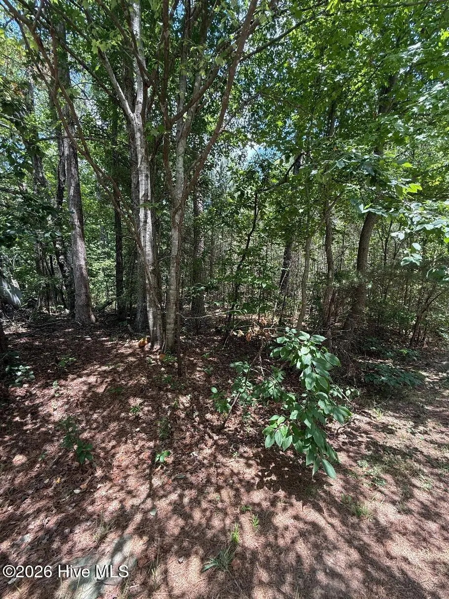 7801 Grand Lillie Drive, Durham, NC 27712 - #1