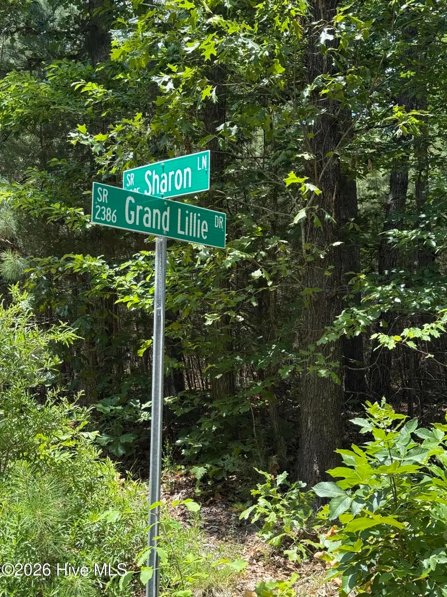 7801 Grand Lillie Drive, Durham, NC 27712 - #3