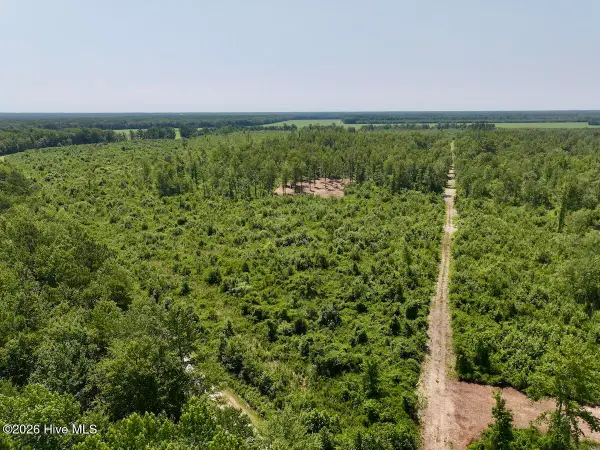 0 Guinea Mill Road, Ernul, NC 28527