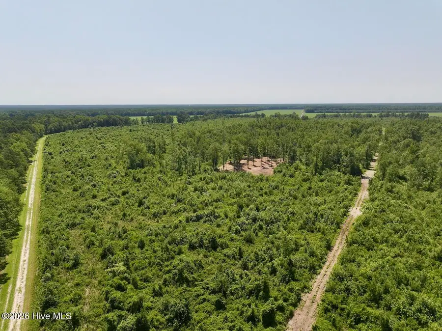 0 Guinea Mill Road, Ernul, NC 28527 - #2