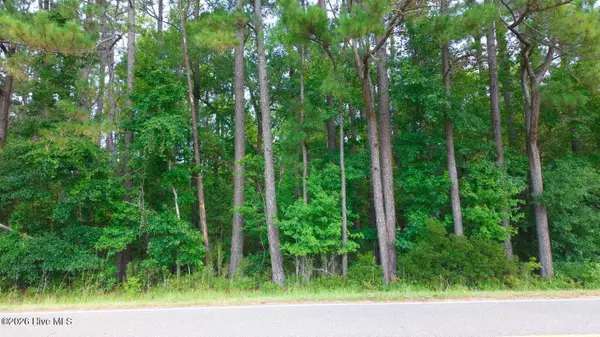 0000a Near 855 Furnie Hamm Road, Clarendon, NC 28432