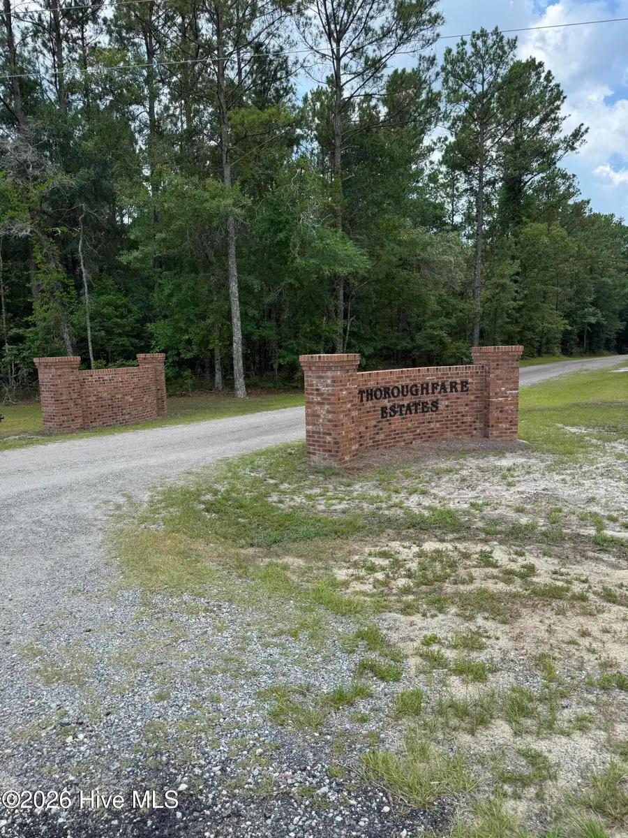 203 Estate Road, Atkinson, NC 28421 - #2