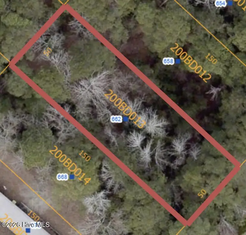 662 Southwind Drive Sw, Supply, NC 28462 - #1