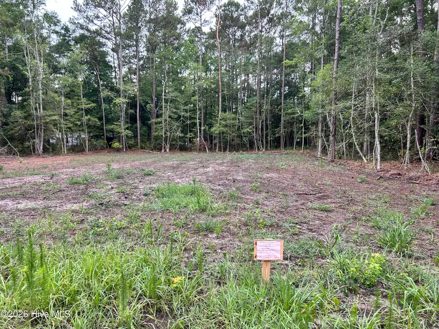 662 Southwind Drive Sw, Supply, NC 28462 - #2