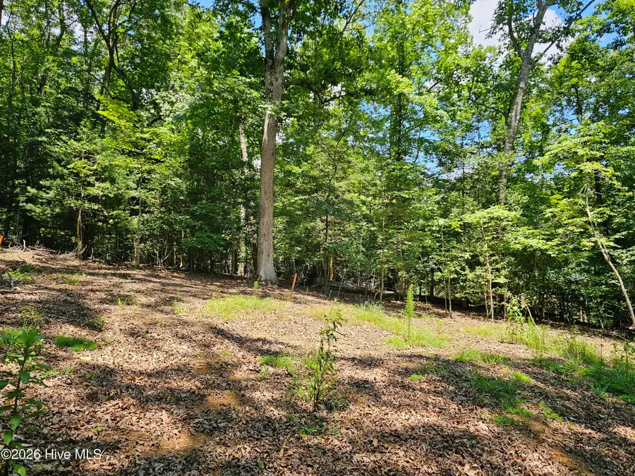 Lot 10 Bobcat Lane, Murphy, NC 28906 - #2