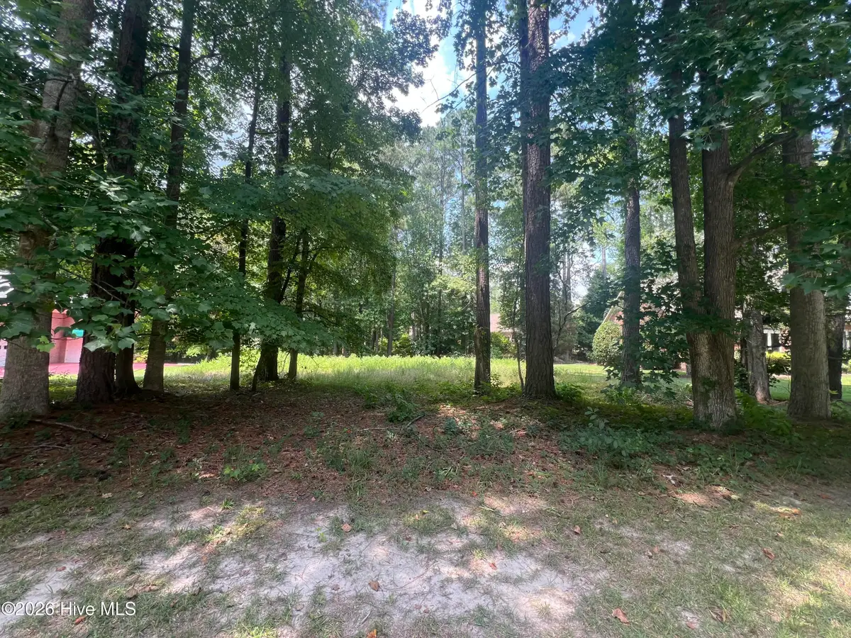 309 Potomac Drive, Chocowinity, NC 27817 - #1