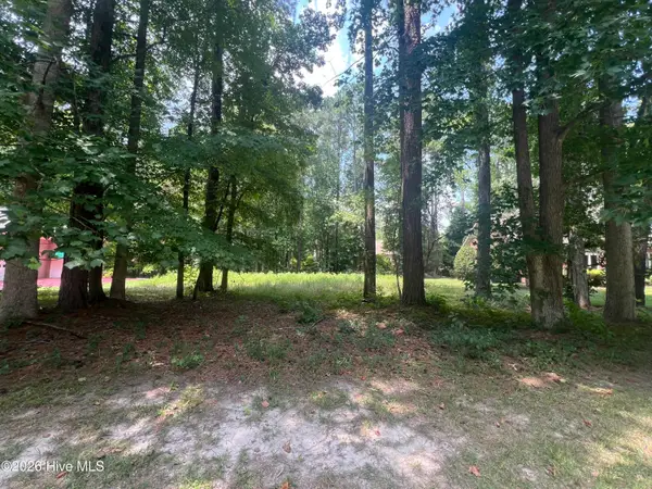 309 Potomac Drive, Chocowinity, NC 27817