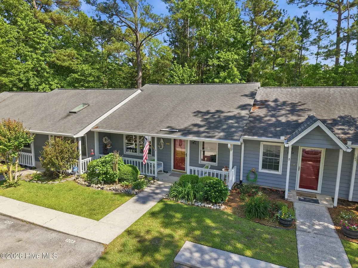 600 N 35th Street #1203, Morehead City, NC 28557 - #1